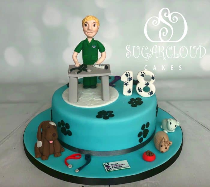 Jack's Vet and Animal Themed 18th Birthday Cake, Nantwich