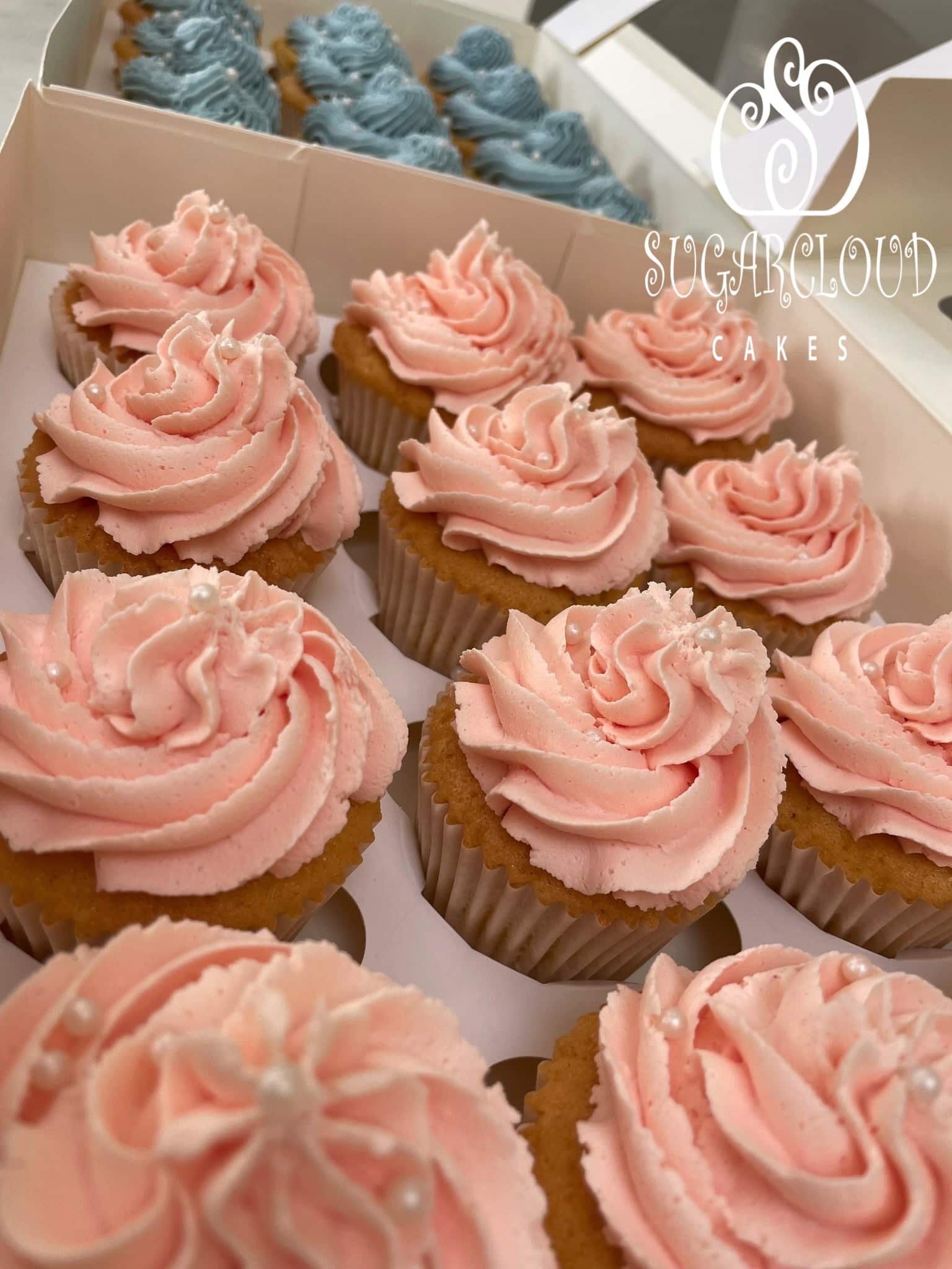 Gender Reveal Cupcakes, Shavington